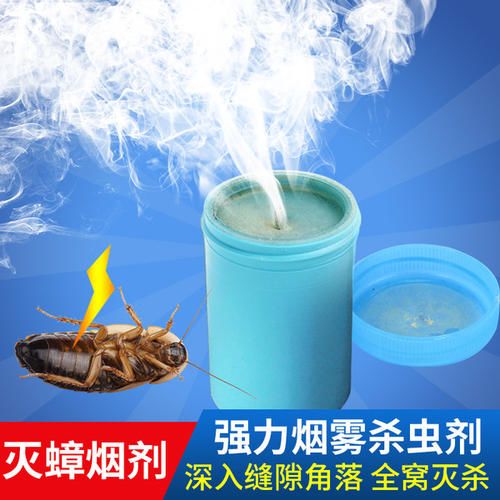 你家的蟑螂多吗,你家的蟑螂再嚣张也躲不过这一招