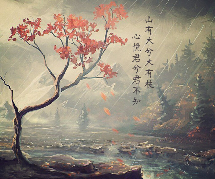 爱情的古风诗句山有木兮木有枝,美到令人窒息的暗恋古诗词