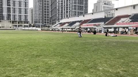 所有的飞盘怎么玩,极限飞盘玩