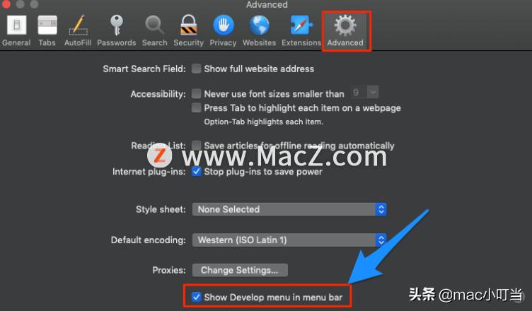 safari无法验证文件完整性,safari无法访问网址无效怎么解决