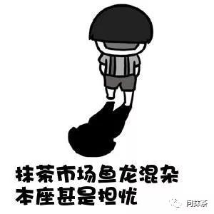 最高品质的抹茶,鑫品抹茶