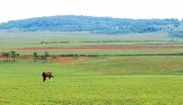 五一小长假昆明周边露营地点推荐,昆明周边户外露营游