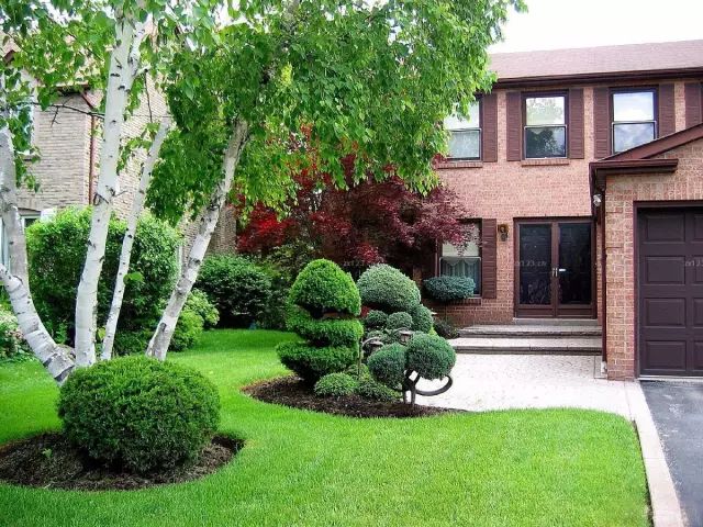 花园草坪如何打理,花园草地打理