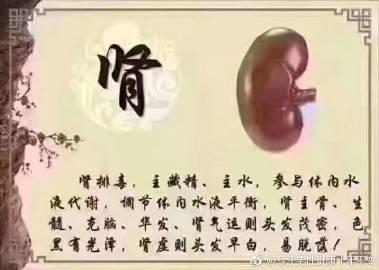 中医对水病的认识及治疗体会,肾阳虚现代医学诠释