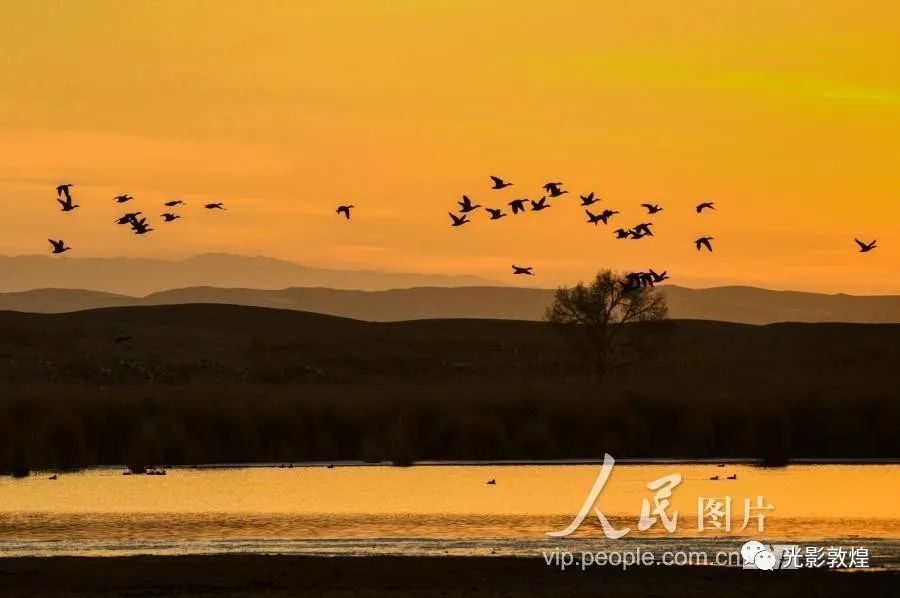 五一去敦煌自驾游合适吗,敦煌阳关景区游玩多长时间
