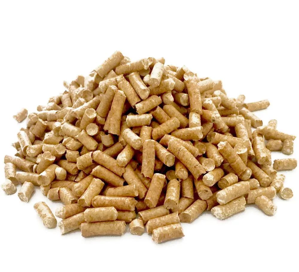 养小猫攻略,养2个月小猫攻略