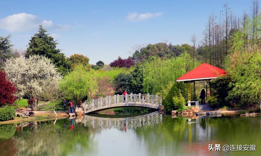 安徽合肥免费旅游攻略,合肥春节免费游怎么预约