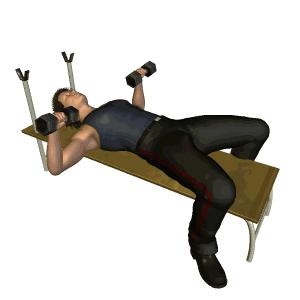 哑铃健身最简单最直接的动作,在家健身教学8大哑铃训练动作