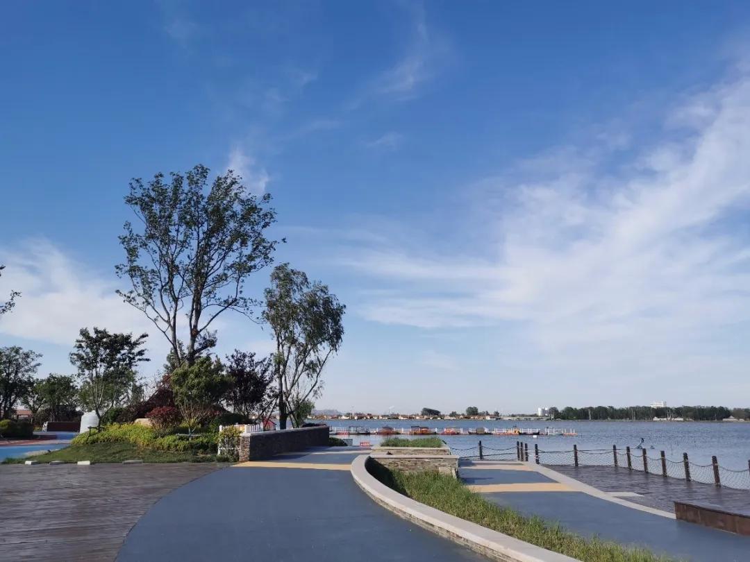 初夏去花海好玩吗,初夏去海边好玩吗