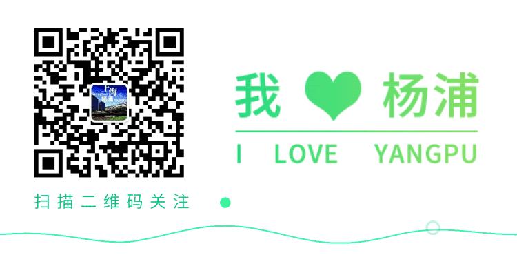 上海市个人五一劳动奖章,五一劳动最光荣最新视频