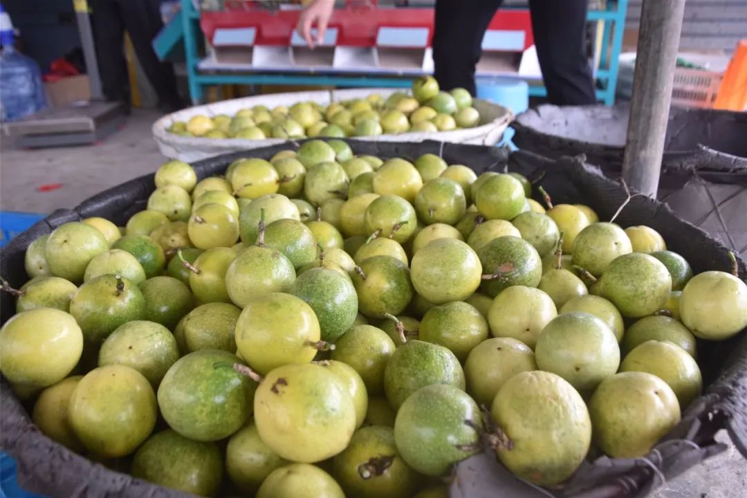 癌症患者申请扶贫政策申请书,一个癌症患者的自愈之路