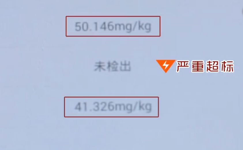 有毒的粽叶,怎么知道粽子的粽叶有毒