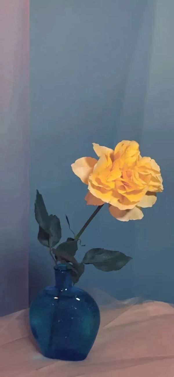 大智若愚什么意思简单的讲解一下,上善若水大智若愚什么意思