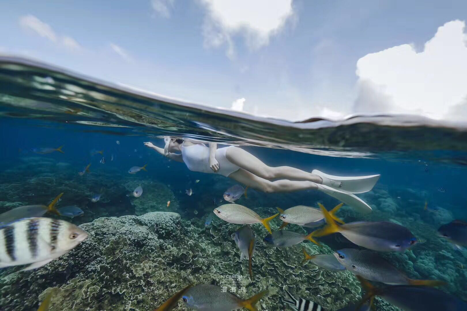 帕劳海岛游玩攻略,帕劳群岛旅游需要签证吗