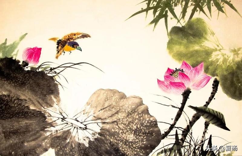 莲子埋入土里多久还可以发芽,莲子埋在泥里会发芽吗