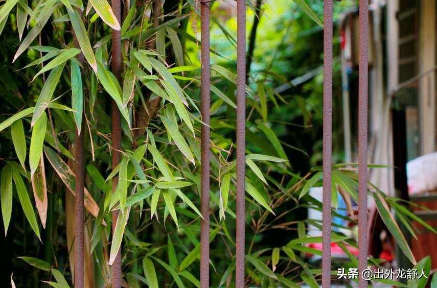 合肥商业街的现状,合肥成熟的商业街