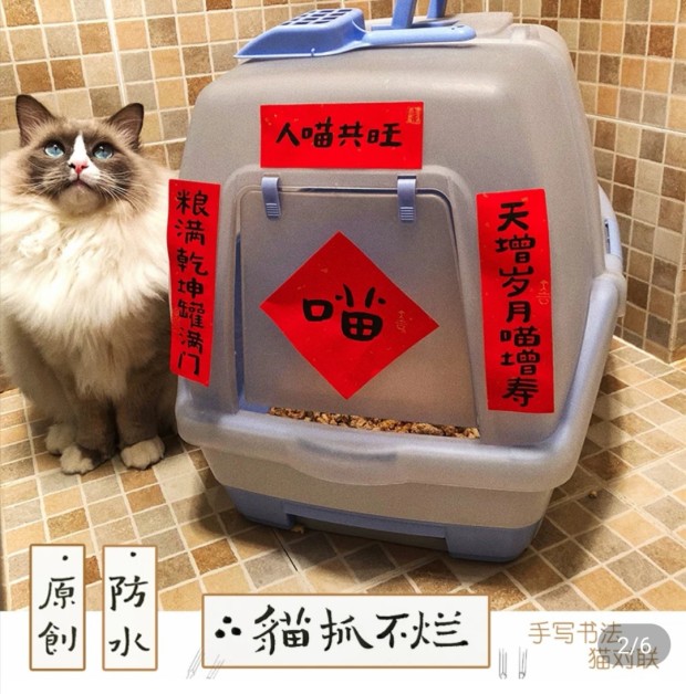 接地气春联,接地气春联语言