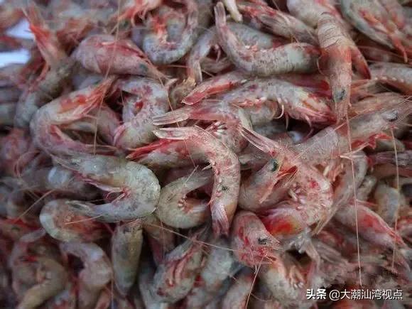 作为潮汕人，这89种海鲜你都能对上号吗