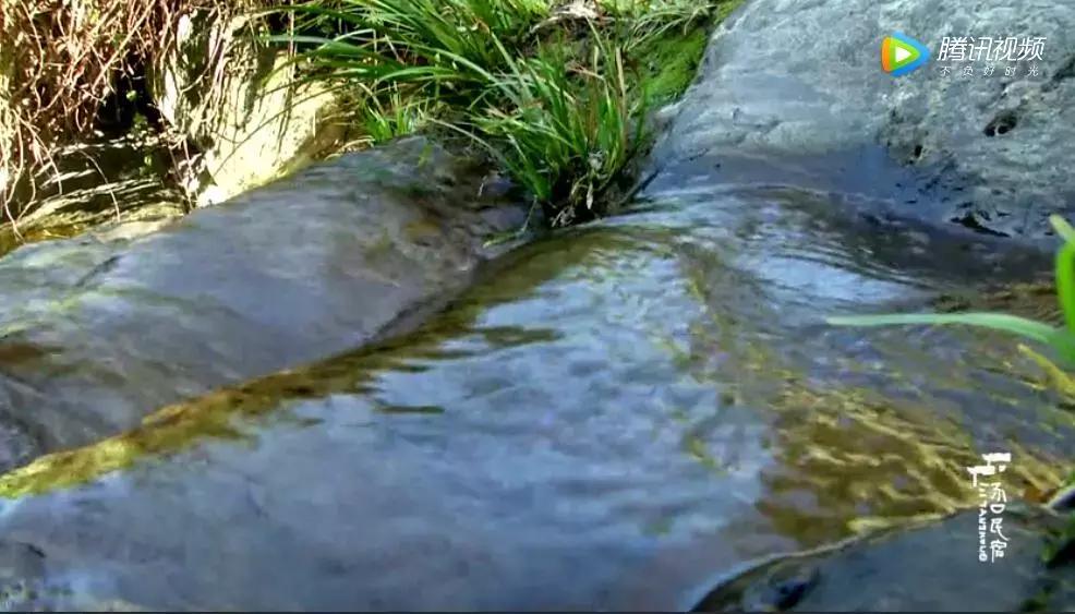 黄山超好看民宿,黄山脚下宛如仙境