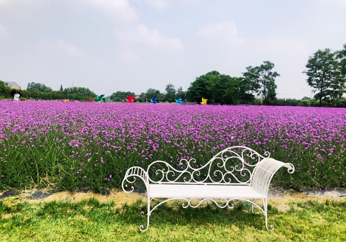 成都周边免费森林公园,成都十五个免费公园