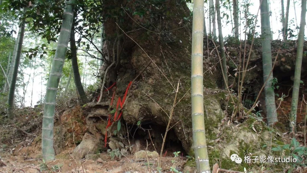 闽西客家人年俗,小议福建闽西客家人的饮食习俗