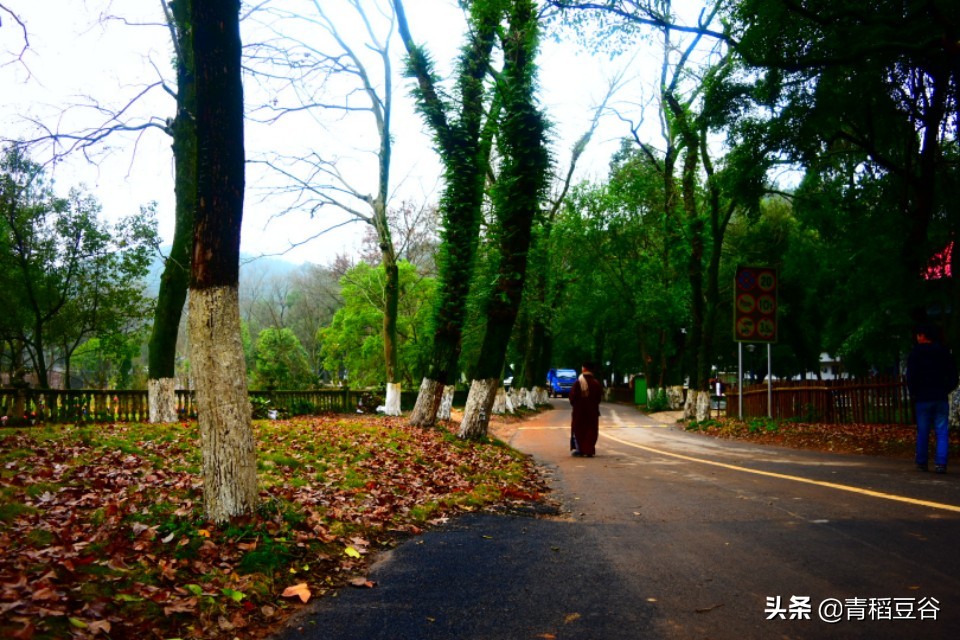 在吉安旅游想去哪里,在吉安看海