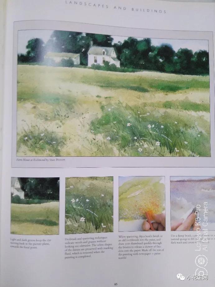 从零开始学绘画必备的画,从零开始学绘画第一步教程