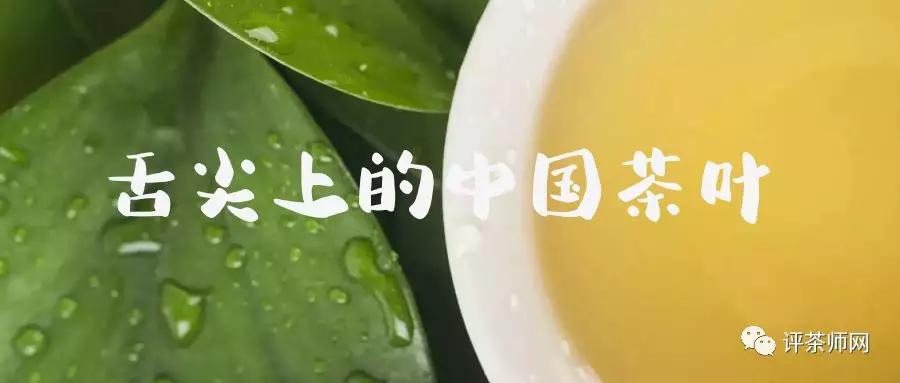 舌尖上的中国茶文化,传统手艺制作的铁观音茶