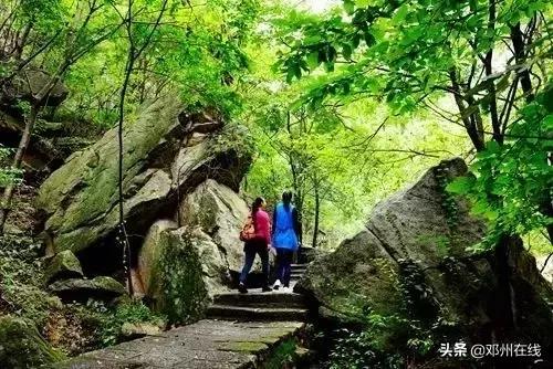 南阳最新重要新闻,河南南阳有什么大事