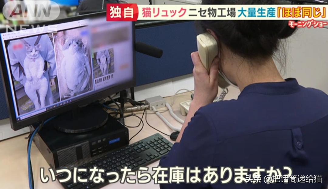 日本网红猫包,日本网红猫咪包