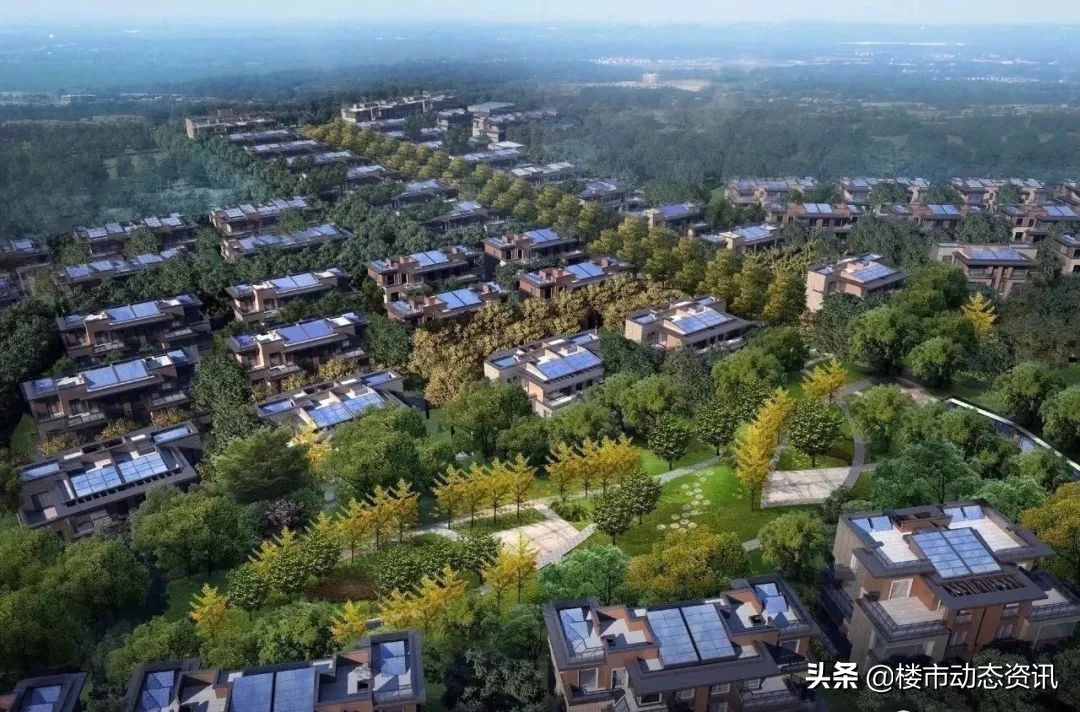 崇明三湘森林海尚联排户型,崇明三湘森林