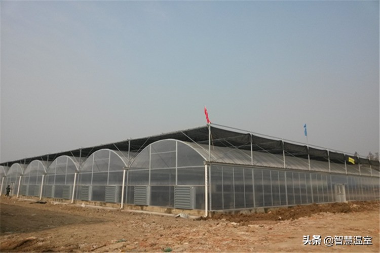 温室大棚覆盖材料有哪些,温室大棚覆盖材料种类都有哪些