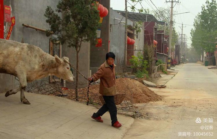 孙家岭的呼唤(下)