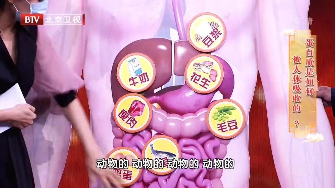 哪些人群需要特别注意补充蛋白质,蛋白质吃多了需要补充什么