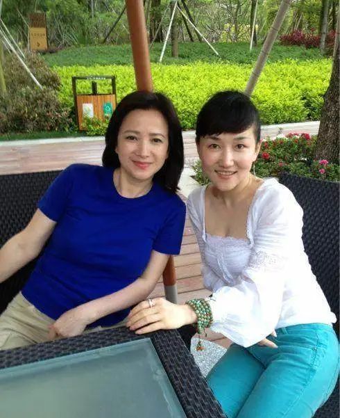 何晴刘威许亚军,刘威何晴张晞许亚军