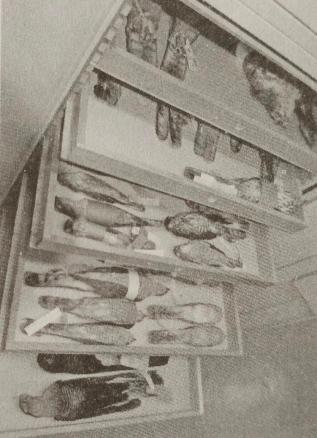 标本运输a类或b类进行几层包装,生物安全标本包装运输注意事项