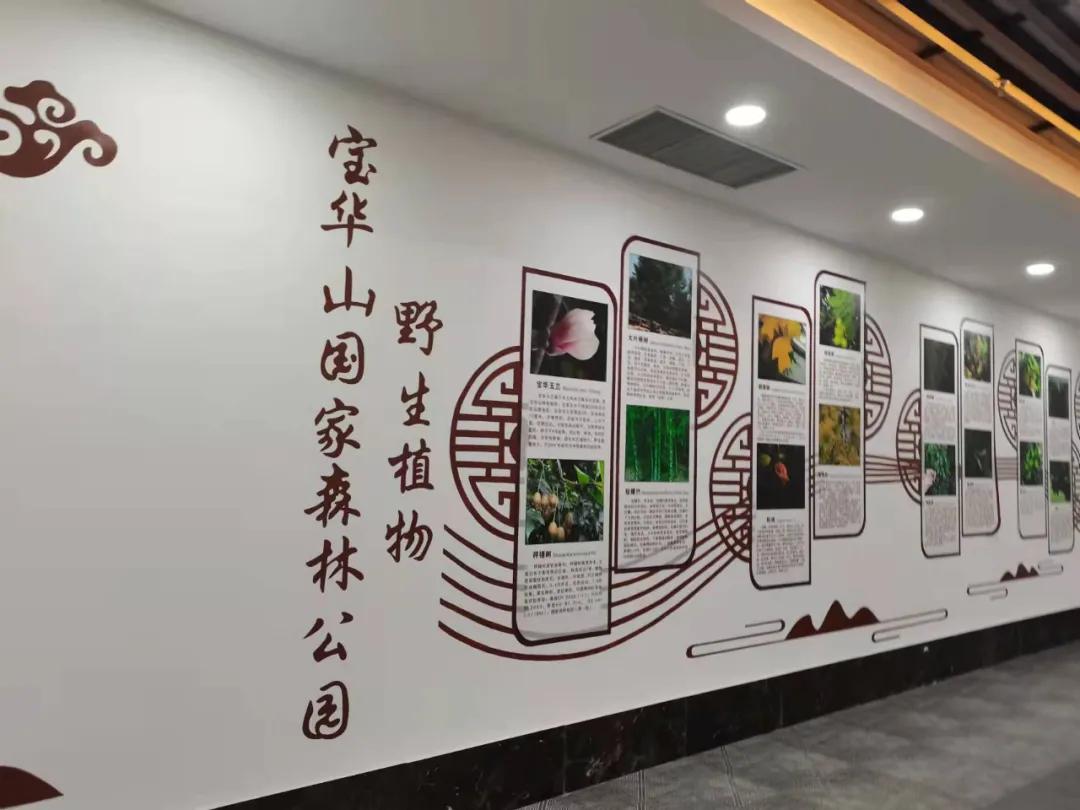 行走｜物华天宝宝华山