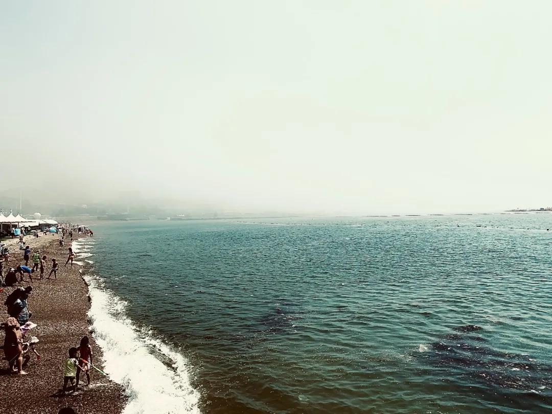 早道日语公开课,早道日语老师团队