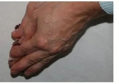 猫宫庄园大幅度提高新生小猫出生率的助产方法