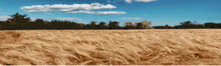 子宫内膜息肉是怎么回事呢,子宫内膜息肉是怎么引起