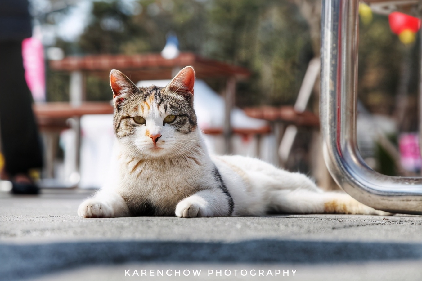 韩国安东美食,韩国釜山必游胜地