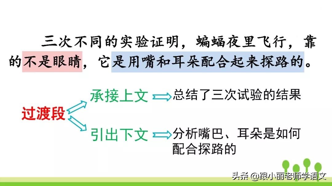语文思维导图四年级上蝙蝠和雷达,人教版四年级上册蝙蝠和雷达朗读
