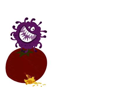 冰箱平时如何保持干净,冰箱健康知识