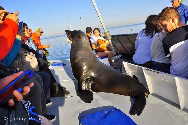 汇率起起伏伏，自然旅行跟着这张表格走，最划算