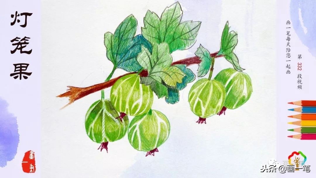 彩铅画画芒果,彩铅画画昆虫