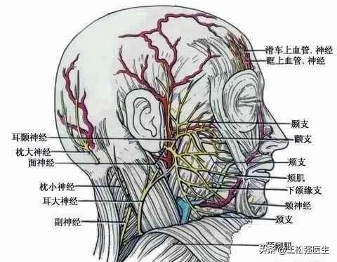 面肌痉挛最怕三种东西,面肌痉挛手术亲身经历