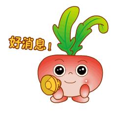 “宁”的球场，亮了！