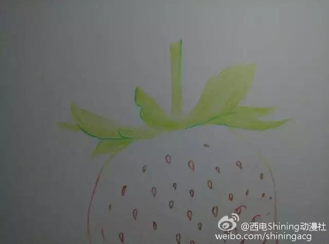 彩铅写实教学草莓,草莓蛋糕用彩铅怎么画