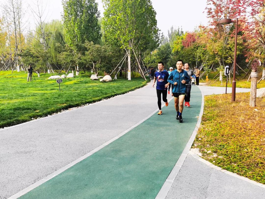 破纪录了！16万人报名参加“回天”这项赛事