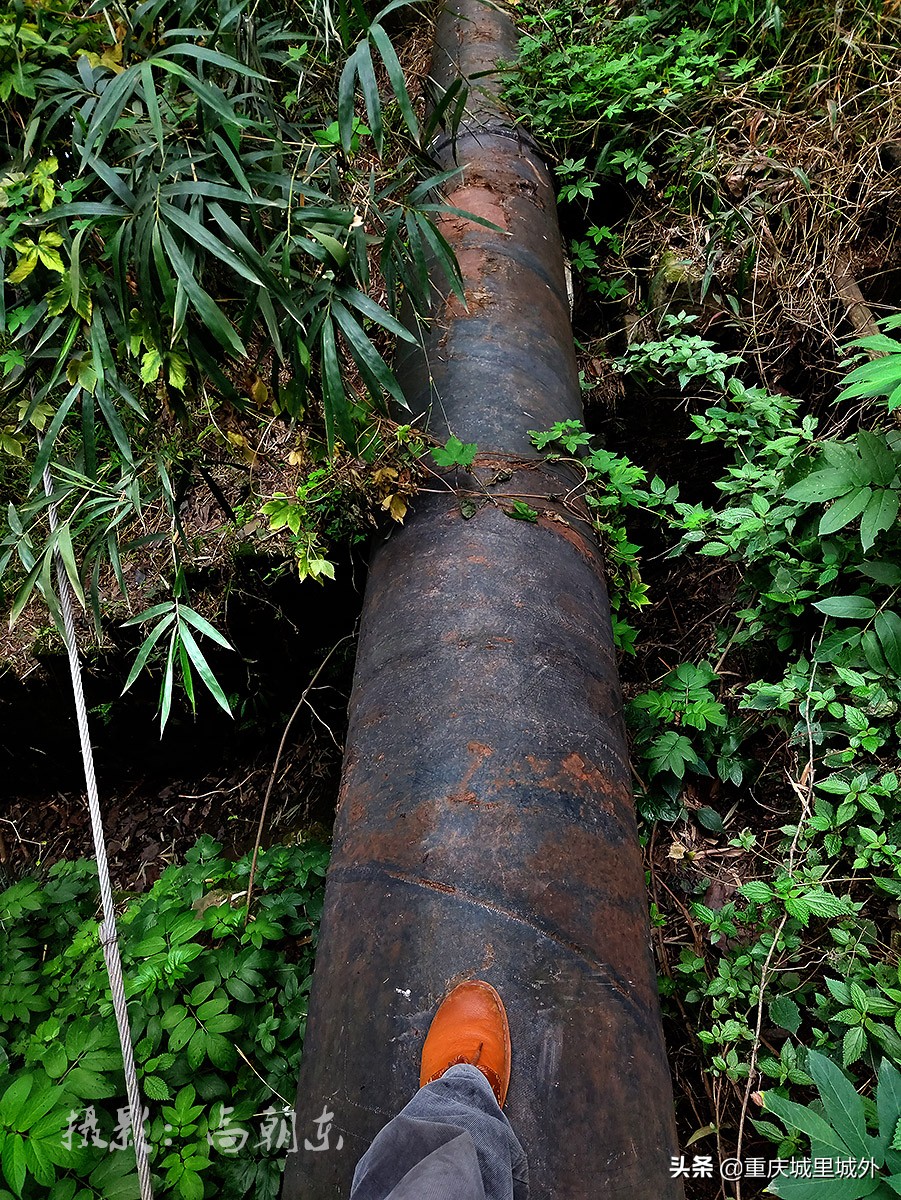 好奇探寻平顶山顶是否“平”，无意发现了渝中区与沙坪坝区的界牌